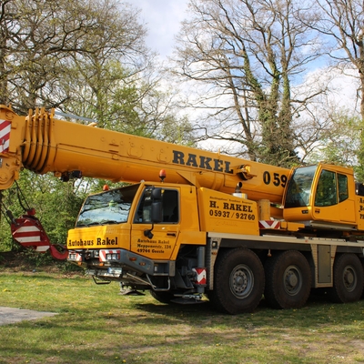 Gelber Rakel-Kran auf einer Wiese